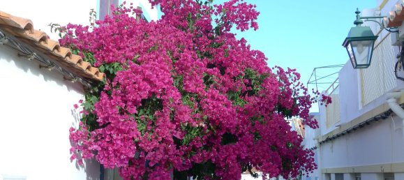 Land in Ferragudo, Portugal No. 189974 38