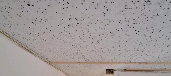 Terreno en Dresden, Germany No. 258699 16