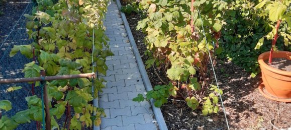 Terreno en Dresden, Germany No. 258699 2