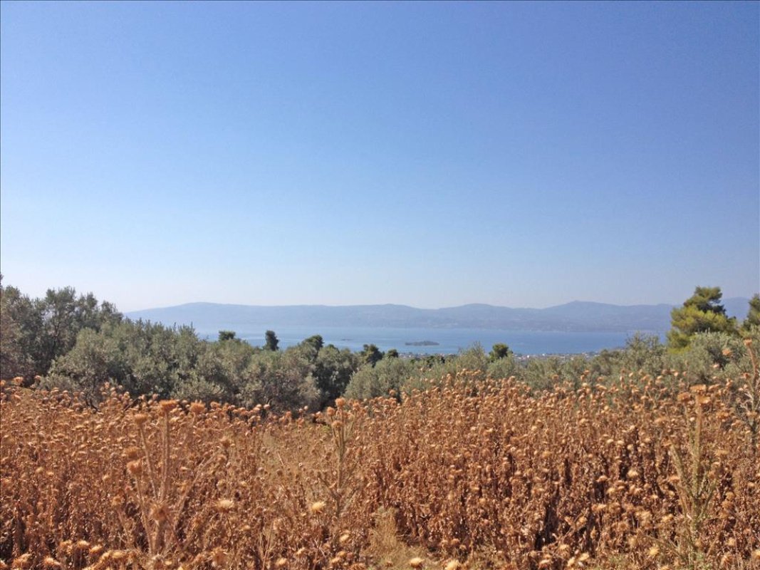 11 bedrooms Villa in Central Greece, Greece No. 1212