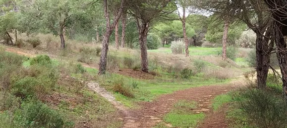 Земельный участок 9670м² в Алмансил, Португалия № 125416 8