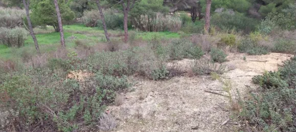 Земельный участок 9670м² в Алмансил, Португалия № 125416 16