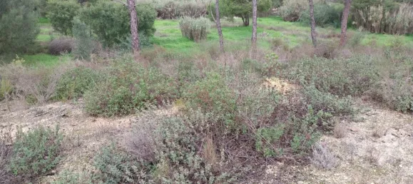 Земельный участок 9670м² в Алмансил, Португалия № 125416 10