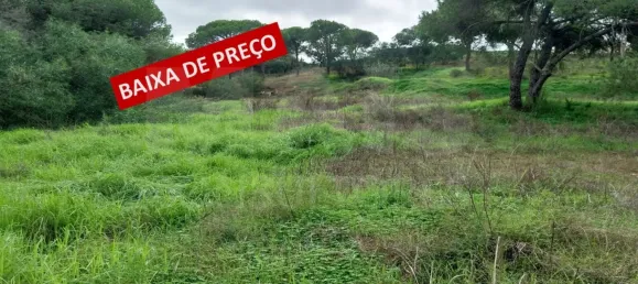 Земельный участок 9670м² в Алмансил, Португалия № 125416 13