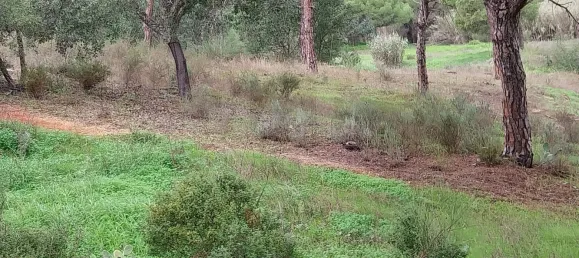 Земельный участок 9670м² в Алмансил, Португалия № 125416 2