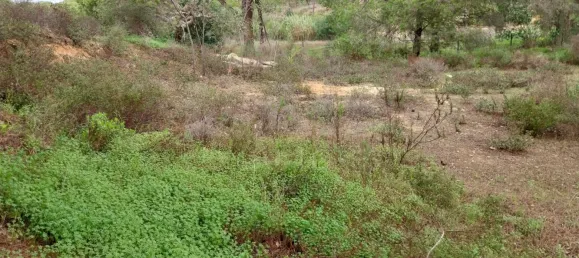 Земельный участок 9670м² в Алмансил, Португалия № 125416 9