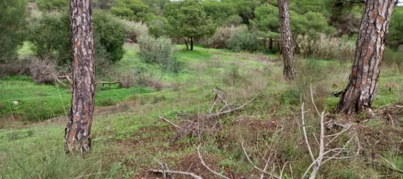 Земельный участок 9670м² в Алмансил, Португалия № 125416 11