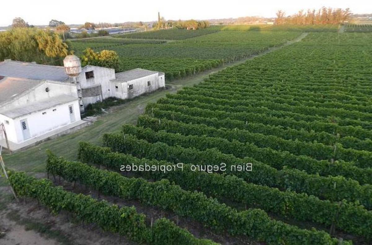 3 bedrooms House in Canelones, Uruguay No. 2931