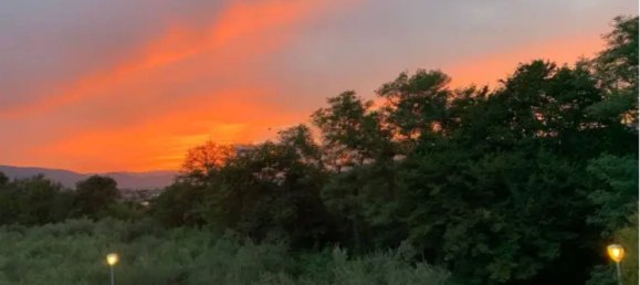 3 rooms Apartment in Luni, Italy No. 99168 9