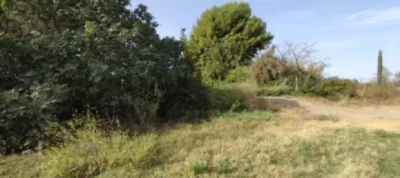 Terreno en Alfajarín, Spain 5100 m² No. 188963 11