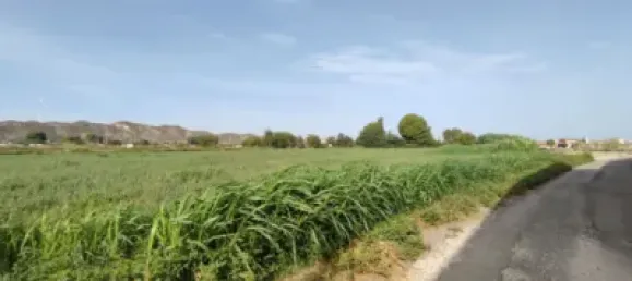 Terreno en Alfajarín, Spain 5100 m² No. 188963 26