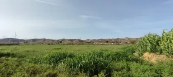 Terreno en Alfajarín, Spain 5100 m² No. 188963 19