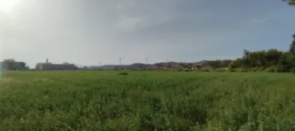 Terreno en Alfajarín, Spain 5100 m² No. 188963 9