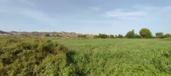 Terreno en Alfajarín, Spain 5100 m² No. 188963 22