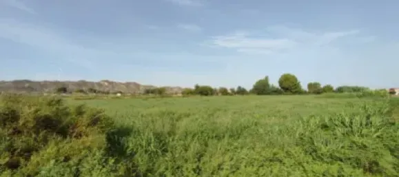 Terreno en Alfajarín, Spain 5100 m² No. 188963 25