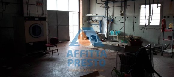 5 rooms Commercial property in Cerreto Guidi, Italy No. 136684 34