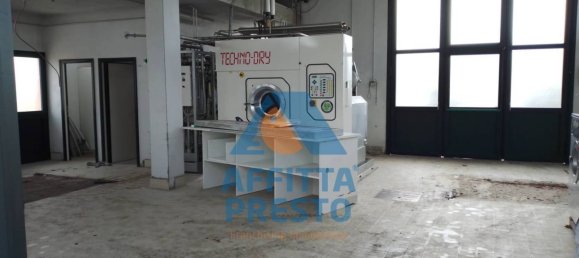 5 rooms Commercial property in Cerreto Guidi, Italy No. 136684 8