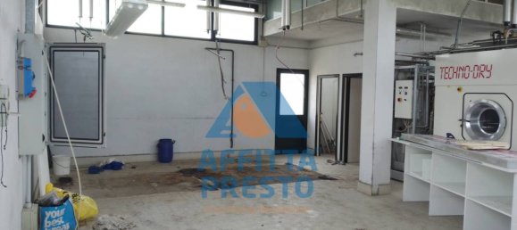 5 rooms Commercial property in Cerreto Guidi, Italy No. 136684 5