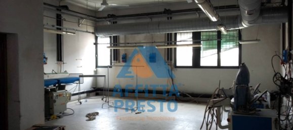 5 rooms Commercial property in Cerreto Guidi, Italy No. 136684 2