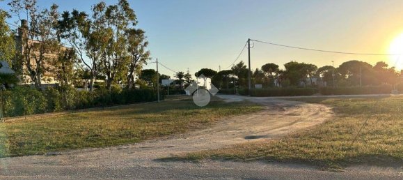 3 bedrooms Villa in Manfredonia, Italy No. 330459 17