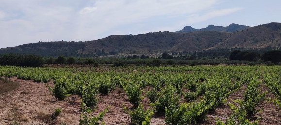 Casa de 10 dormitorios en Yecla, Spain No. 159152 20