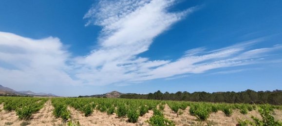 Casa de 10 dormitorios en Yecla, Spain No. 159152 19