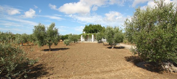 1 bedroom Land in Gallipoli, Italy No. 309155 6