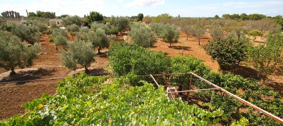 1 bedroom Land in Gallipoli, Italy No. 309155 22