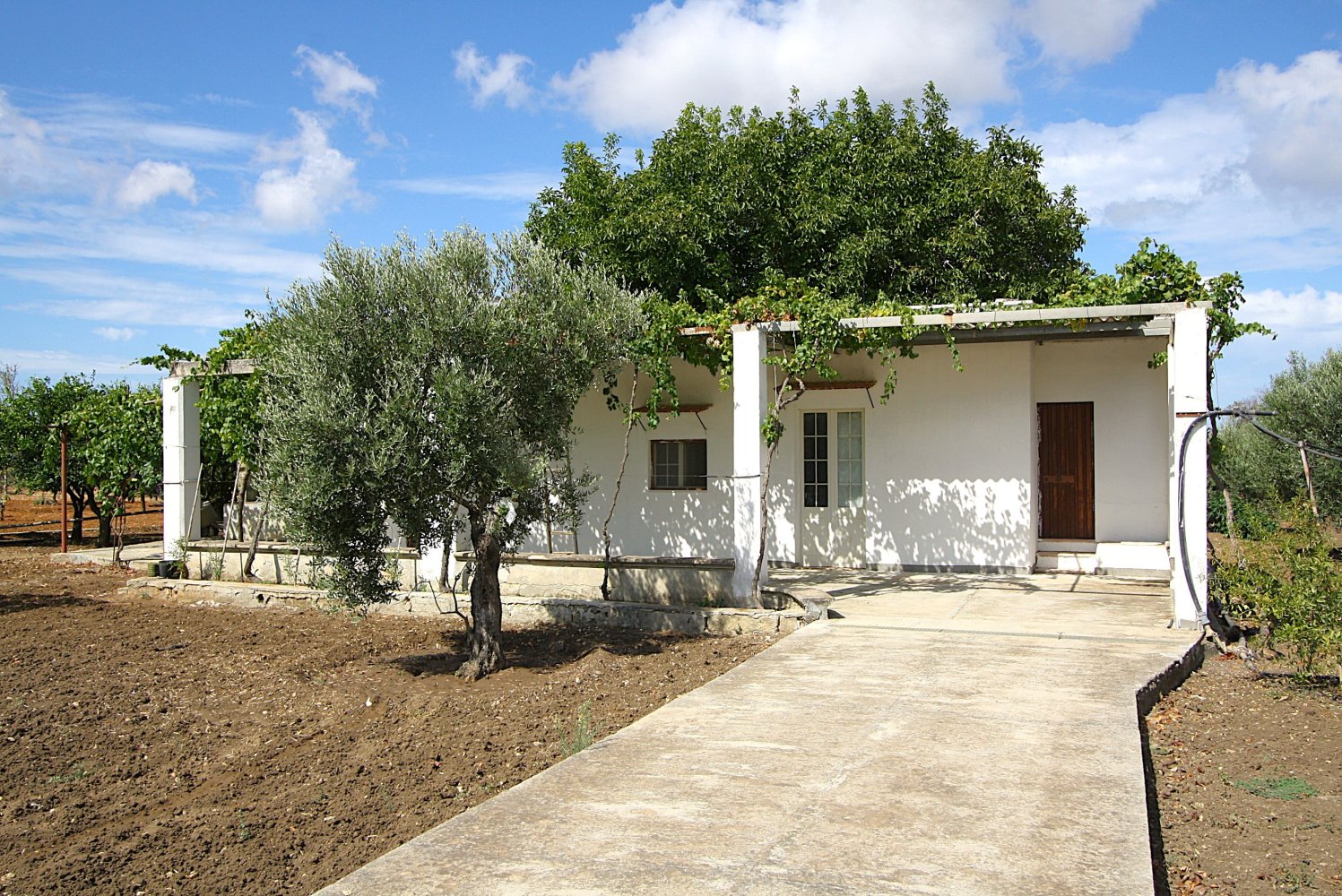 1 bedroom Land in Gallipoli, Italy No. 309155
