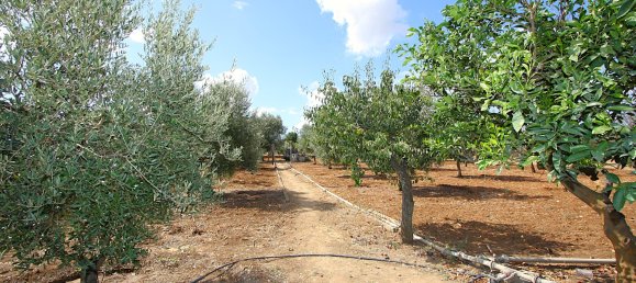 1 bedroom Land in Gallipoli, Italy No. 309155 11