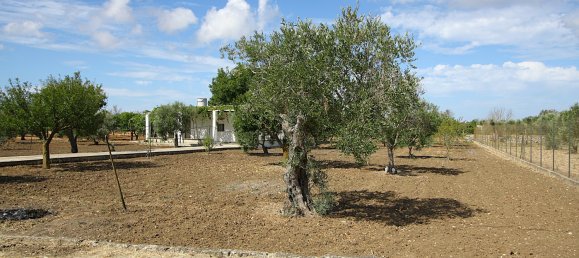 1 bedroom Land in Gallipoli, Italy No. 309155 4