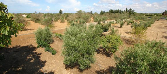 1 bedroom Land in Gallipoli, Italy No. 309155 20