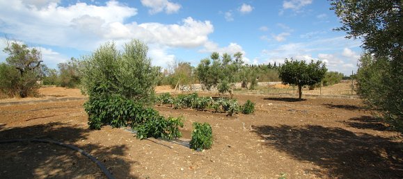 1 bedroom Land in Gallipoli, Italy No. 309155 27