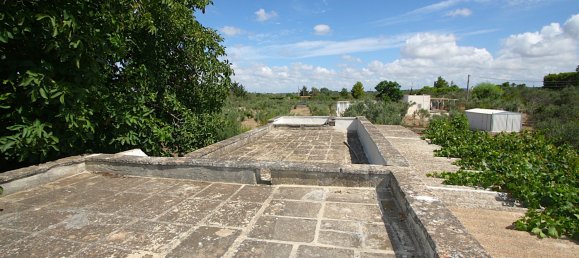 1 bedroom Land in Gallipoli, Italy No. 309155 26