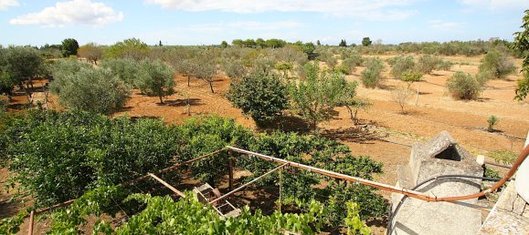 1 bedroom Land in Gallipoli, Italy No. 309155 23