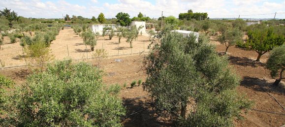 1 bedroom Land in Gallipoli, Italy No. 309155 21