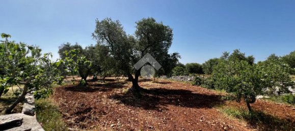 2 chambres Maison à Martina Franca, Italy No. 70556 19