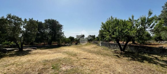 2 chambres Maison à Martina Franca, Italy No. 70556 21