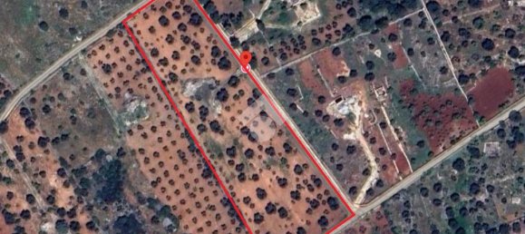 2 chambres Maison à Martina Franca, Italy No. 70556 22