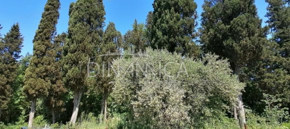 12-Zimmer Haus in Santa Maria a Monte, Italy, Nr. 233666 27