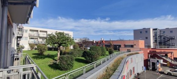 1 bedroom Apartment in Dresden, Germany No. 15199 2