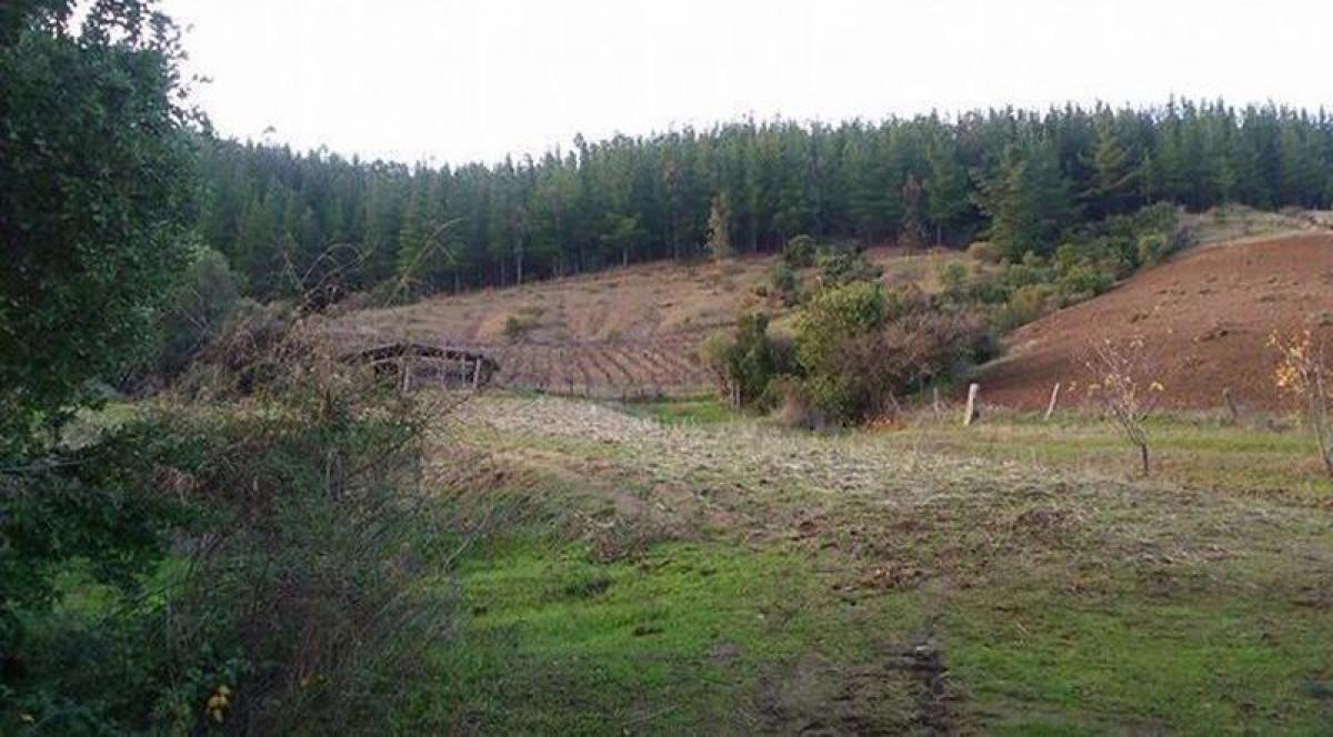 Земельный участок в Биобио, Чили № 960