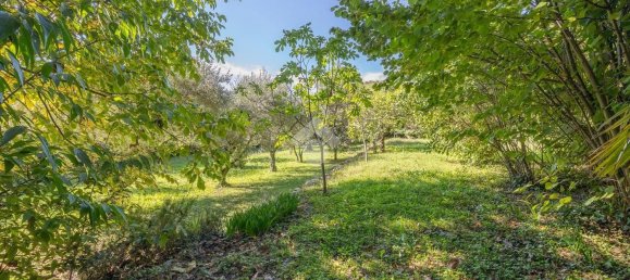 16-Zimmer Villa in Sant'Ambrogio di Valpolicella, Italy, Nr. 175228 34