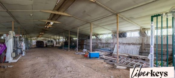 Grundstück in Ramoulu, France 10000m², Nr. 73628 3