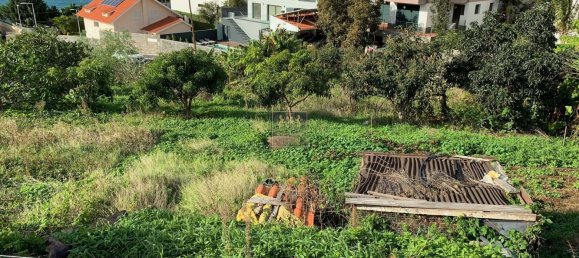 Grundstück in Funchal, Portugal, Nr. 146067 5