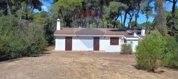 4-salle Villa à Castellaneta, Italy No. 268994 5