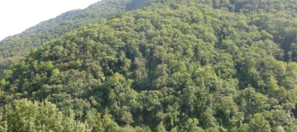 3غرفة منزل في Rapallo, Italy رقم 38445 10