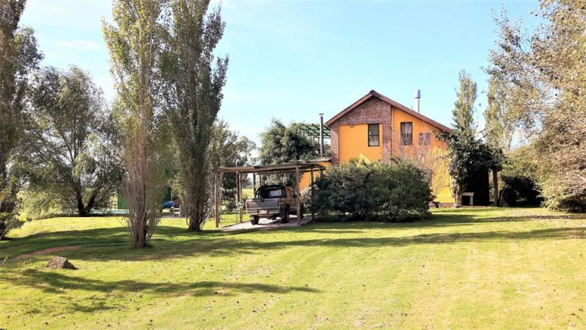  Farm in Maldonado, Uruguay No. 16165