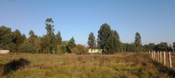 Grundstück in Biobio, Chile, Nr. 851 2