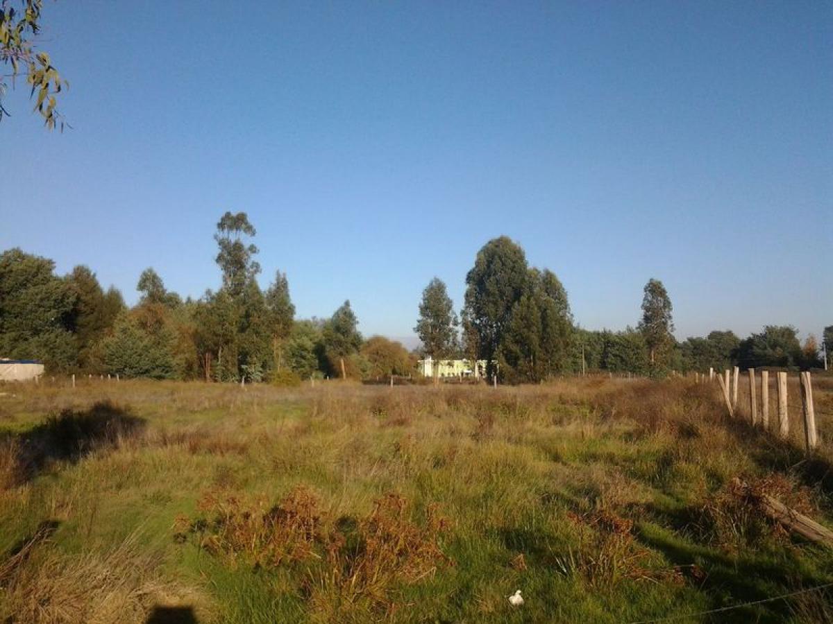 Grundstück in Biobio, Chile, Nr. 851
